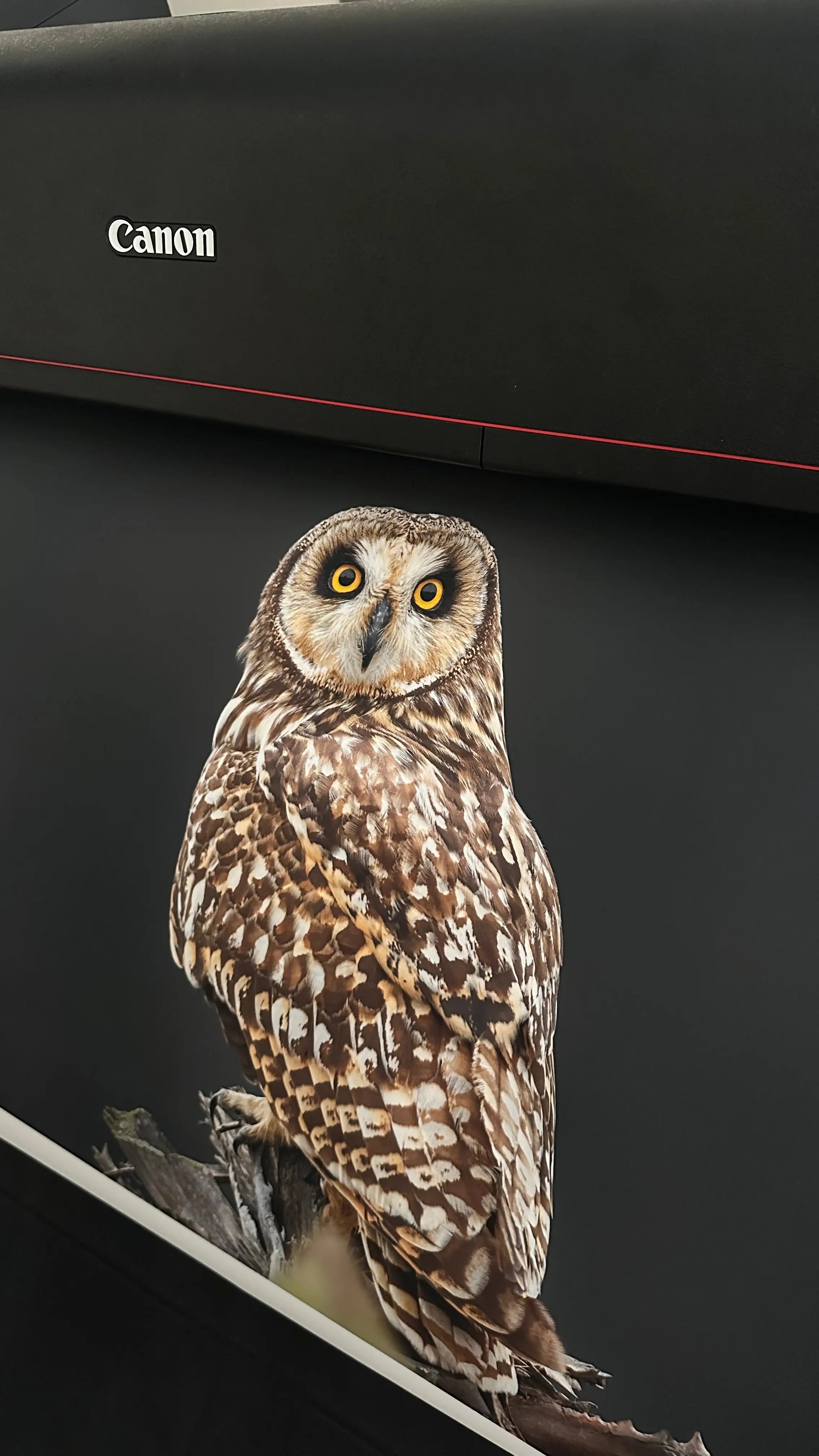 Calidad-Premium LA TINTA FINE ART PRINT