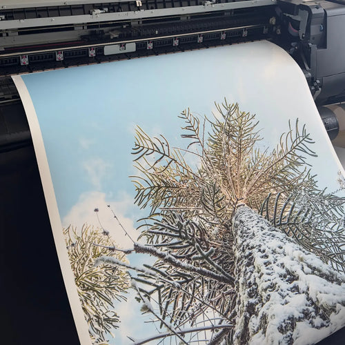 Palmera con nieve y cielo azul claro impresa en papel fine art mate Canson Etching Rag 310g