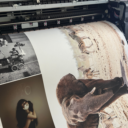 Papel Canson Edition Etching Rag 310grs / Mate grano fino 100% algodón