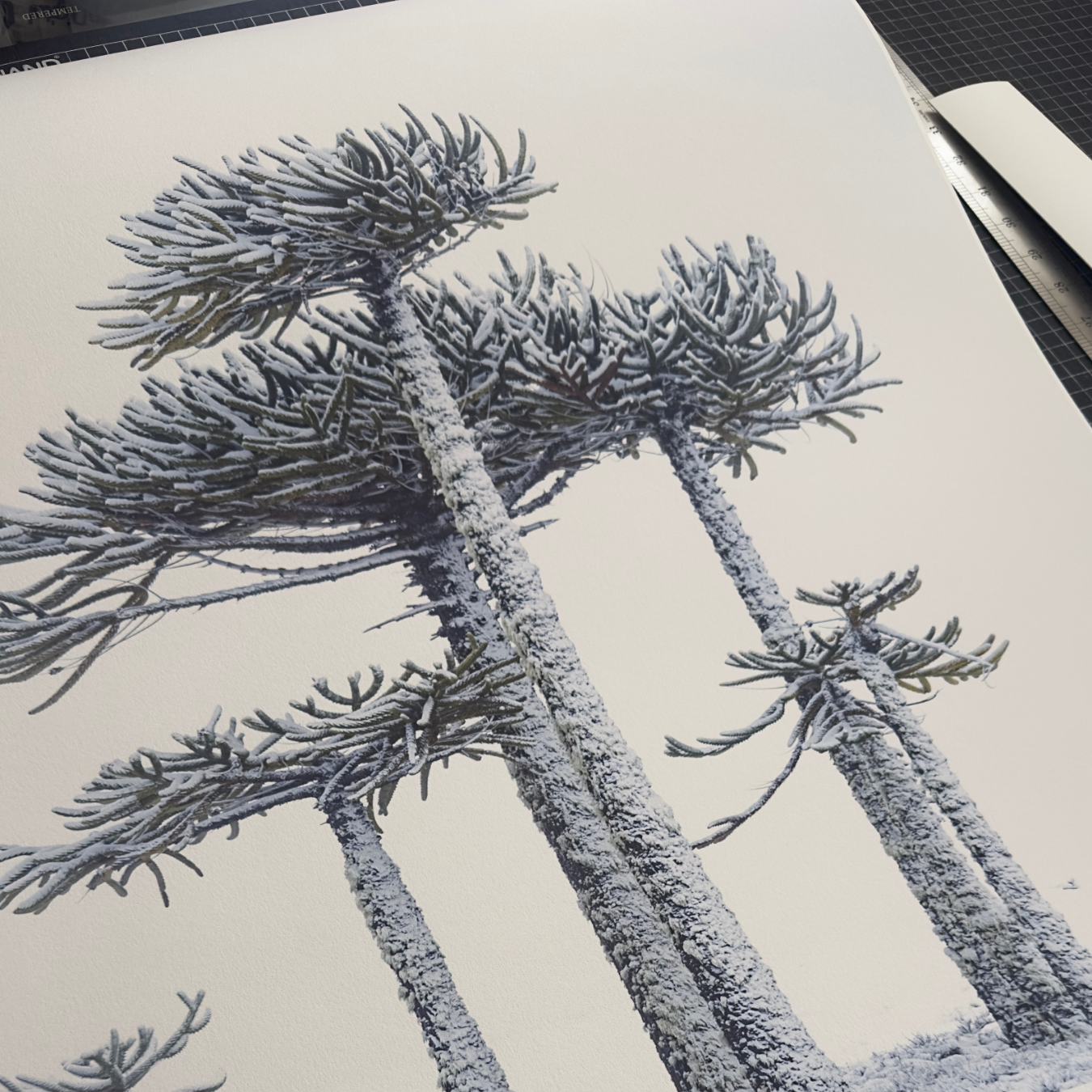 Papel Canson Edition Etching Rag 310grs / Mate grano fino 100% algodón
