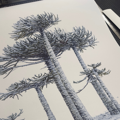 Papel Canson Edition Etching Rag 310grs / Mate grano fino 100% algodón