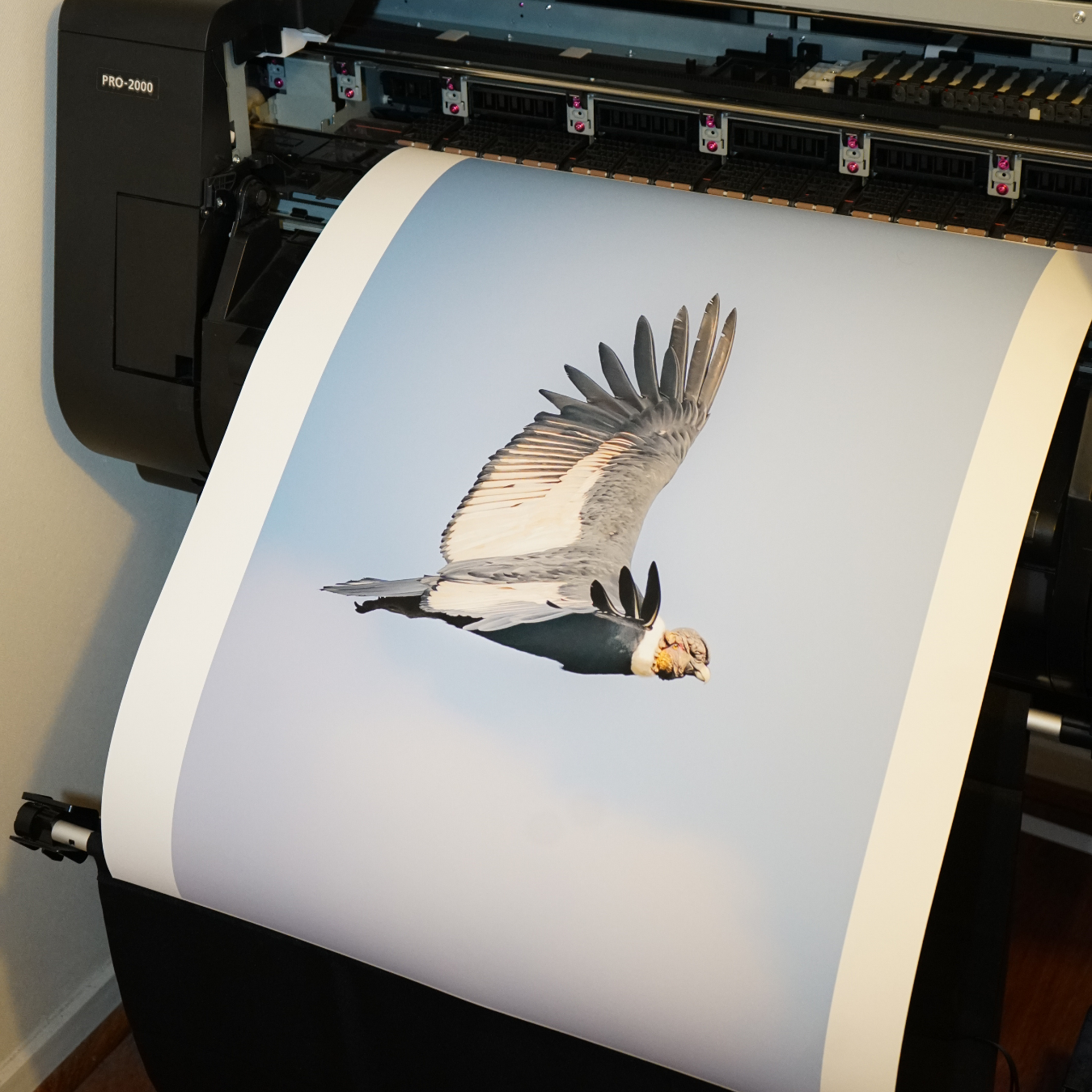 Papel Canson Edition Etching Rag 310grs / Mate grano fino 100% algodón