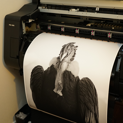 Papel Canson Edition Etching Rag 310grs / Mate grano fino 100% algodón