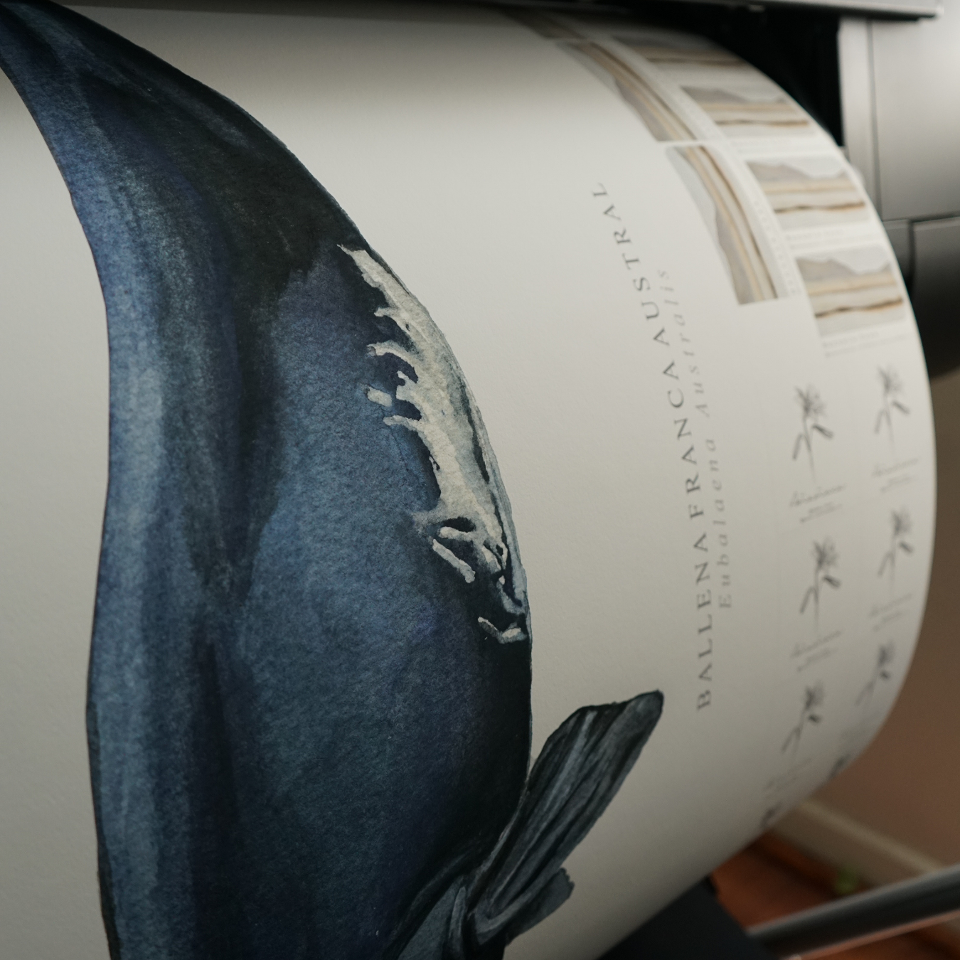 Papel Canson Edition Etching Rag 310grs / Mate grano fino 100% algodón