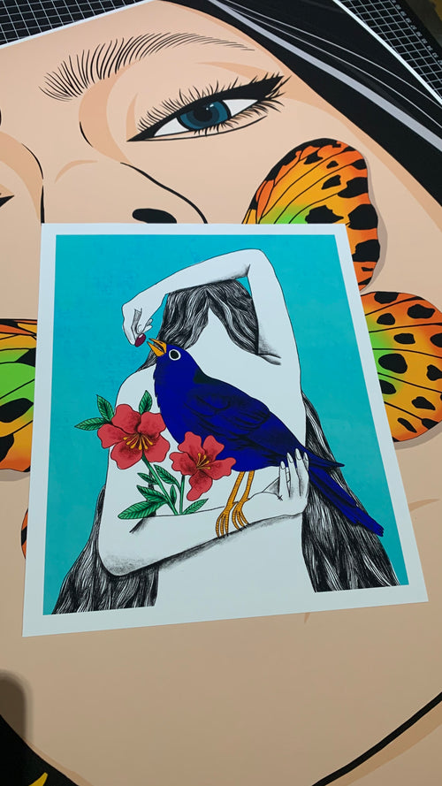 Dale vida a tus fotos e ilustraciones