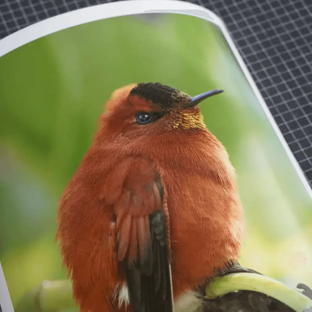 Papel Felix Schoeller Baryta 310g | Semi brillo baritado Fine Art La Tinta Fine Art Print