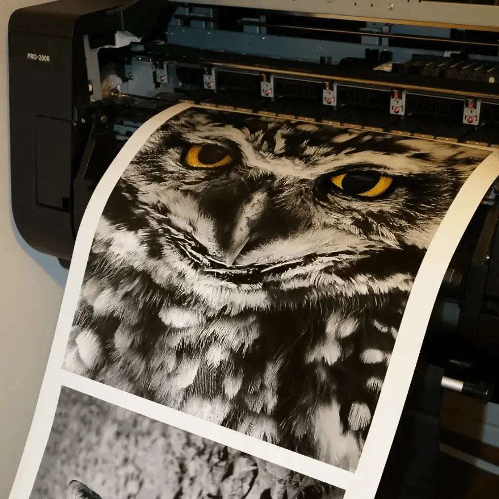 Papel Felix Schoeller Baryta 310g | Semi brillo baritado Fine Art La Tinta Fine Art Print