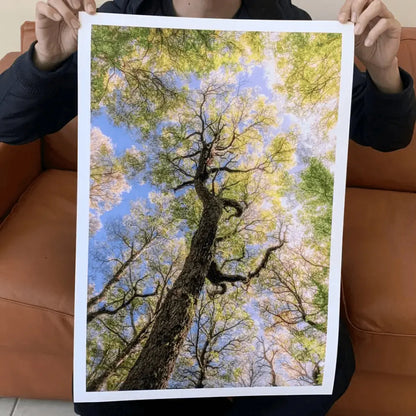 Papel Felix Schoeller Baryta 310g | Semi brillo baritado Fine Art La Tinta Fine Art Print