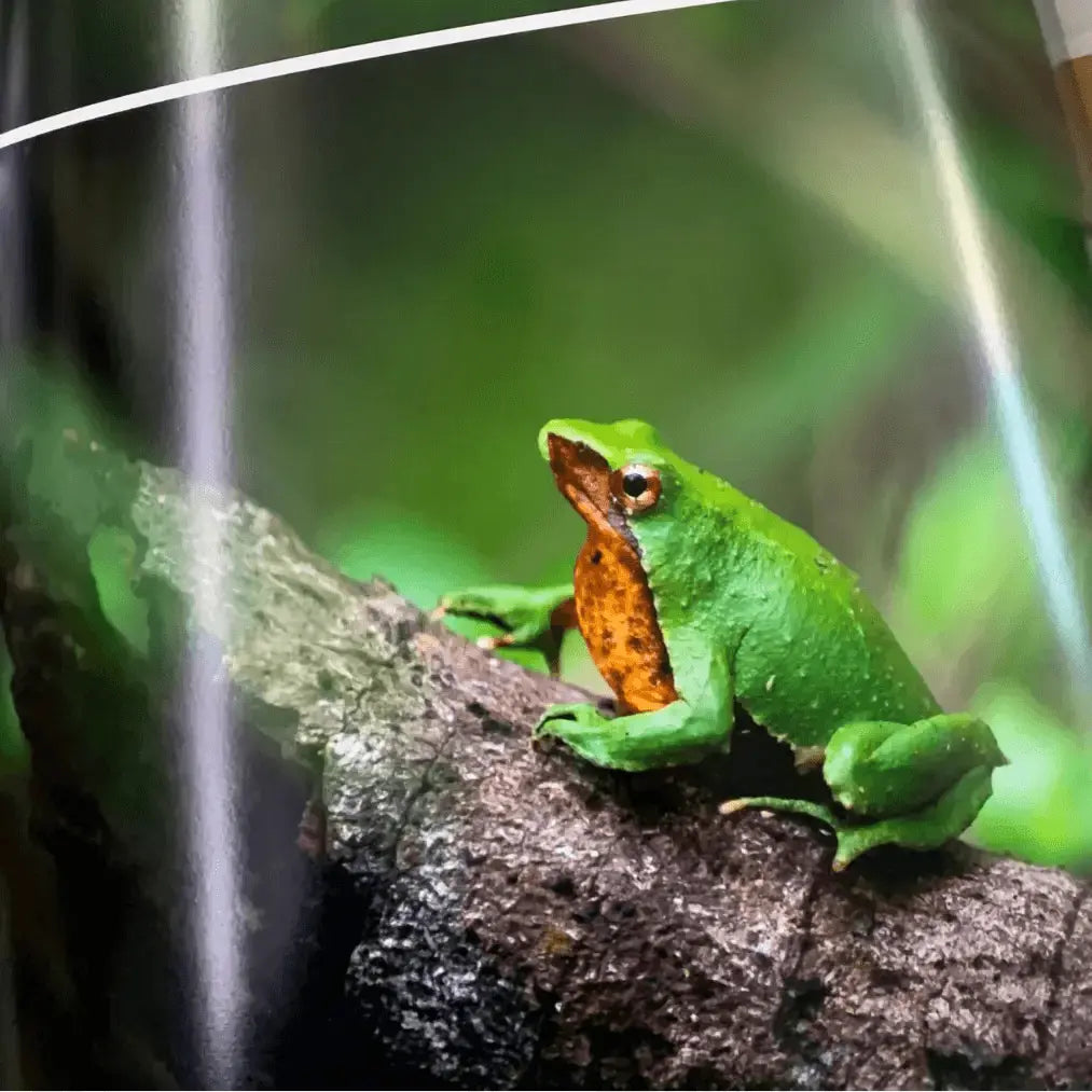 Papel Felix Schoeller Baryta 310g | Semi brillo baritado Fine Art La Tinta Fine Art Print