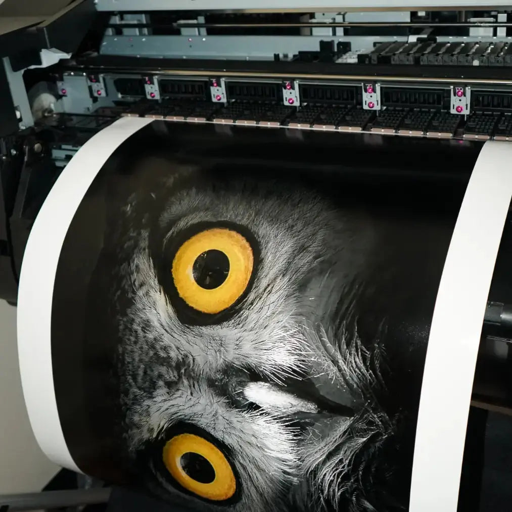 Papel Felix Schoeller Baryta 310g | Semi brillo baritado Fine Art La Tinta Fine Art Print