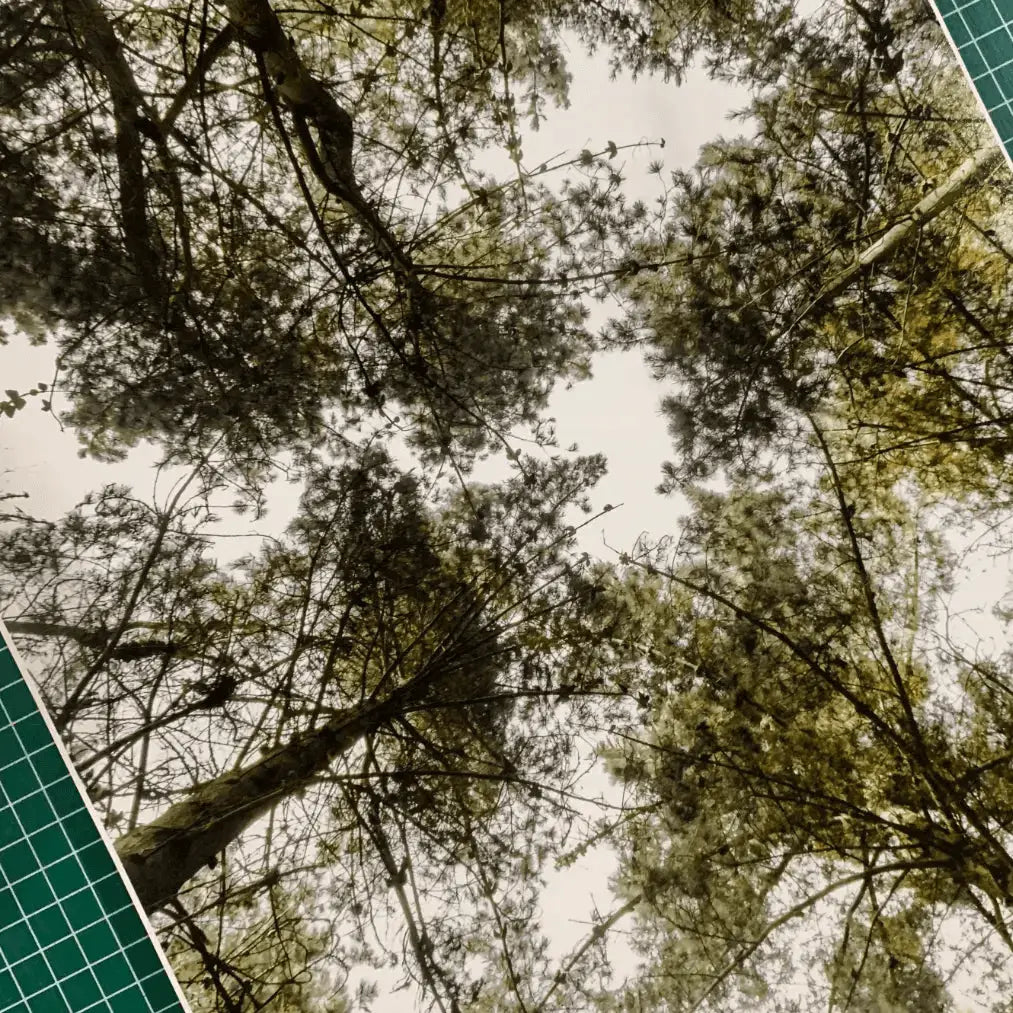 Papel Felix Schoeller Baryta 310g | Semi brillo baritado Fine Art La Tinta Fine Art Print