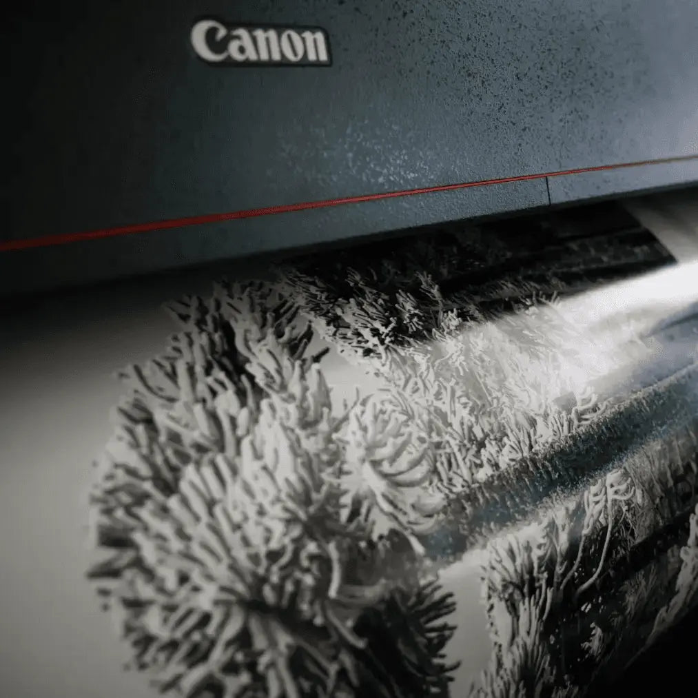 Papel Felix Schoeller Baryta 310g | Semi brillo baritado Fine Art La Tinta Fine Art Print