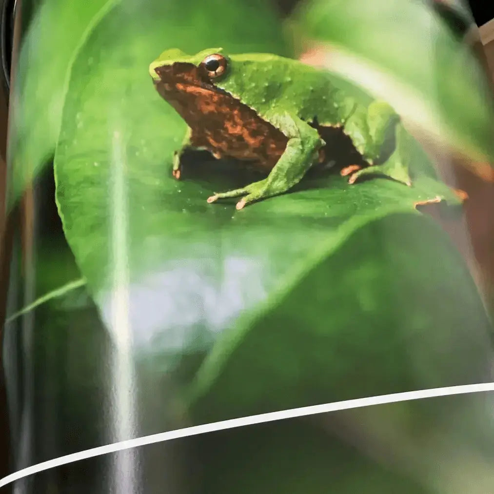 Papel Felix Schoeller Baryta 310g | Semi brillo baritado Fine Art La Tinta Fine Art Print