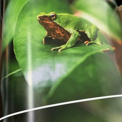 Papel Felix Schoeller Baryta 310g | Semi brillo baritado Fine Art La Tinta Fine Art Print