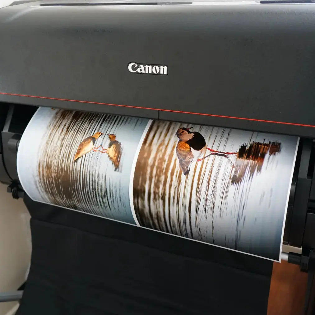 Papel Felix Schoeller Baryta 310g | Semi brillo baritado Fine Art La Tinta Fine Art Print