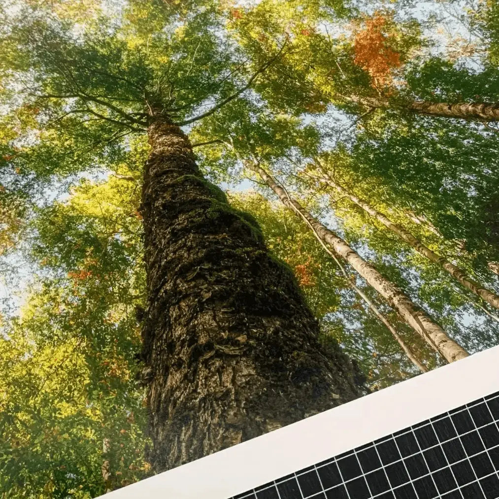 Papel Felix Schoeller Baryta 310g | Semi brillo baritado Fine Art La Tinta Fine Art Print