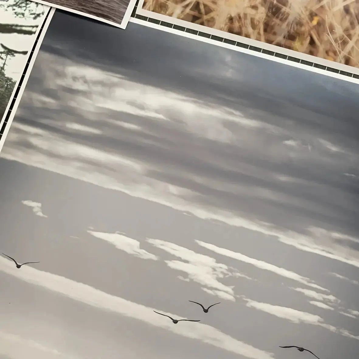 Papel Felix Schoeller Satin 240g | Semi brillo satinado Fine Art La Tinta Fine Art Print