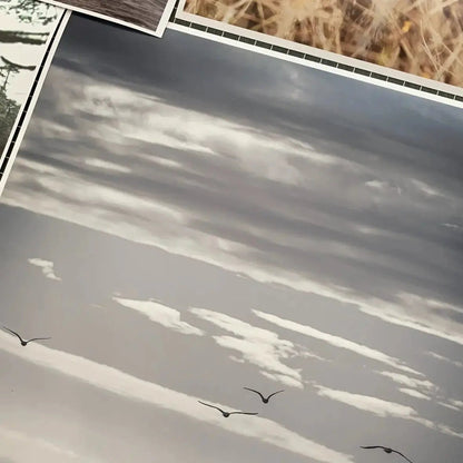 Papel Felix Schoeller Satin 240g | Semi brillo satinado Fine Art La Tinta Fine Art Print