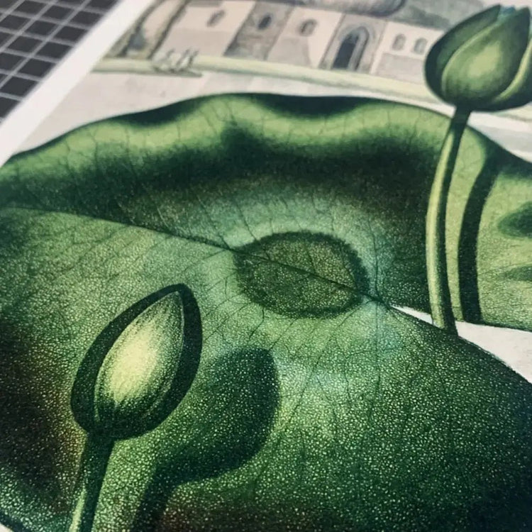 Papel Felix Schoeller Watercolor Rag 310g | Mate texturado tipo acuarela 100% algodón Fine Art La Tinta Fine Art Print